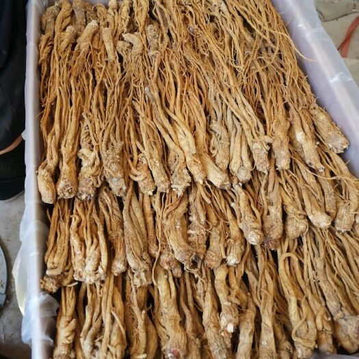 渭源县岷当归  岷归物美价廉。