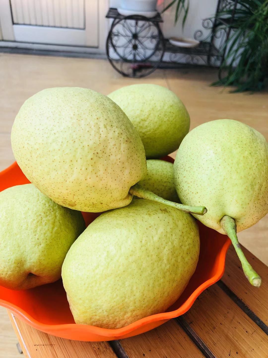  自家种植长把梨，家有九千多斤，急需处理