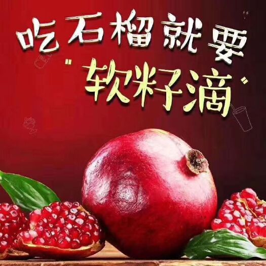 荥阳市 河阴石榴
