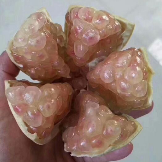 蒙自市 云南蒙自甜石榴