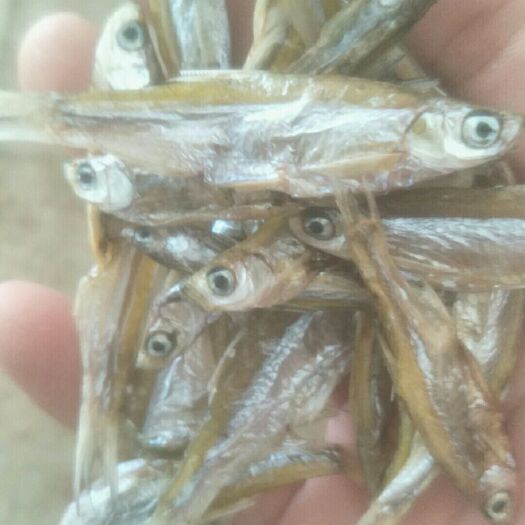 上思县小鱼干 不开肚白肖太阳晒干