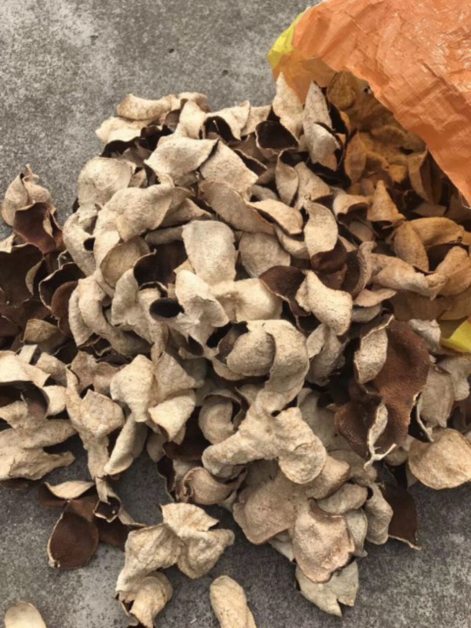  新会陈皮出售