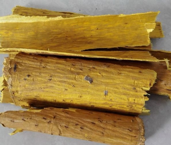 广元川黄柏，带皮货去粗皮货，产地货源量不大，有须要请提前联系