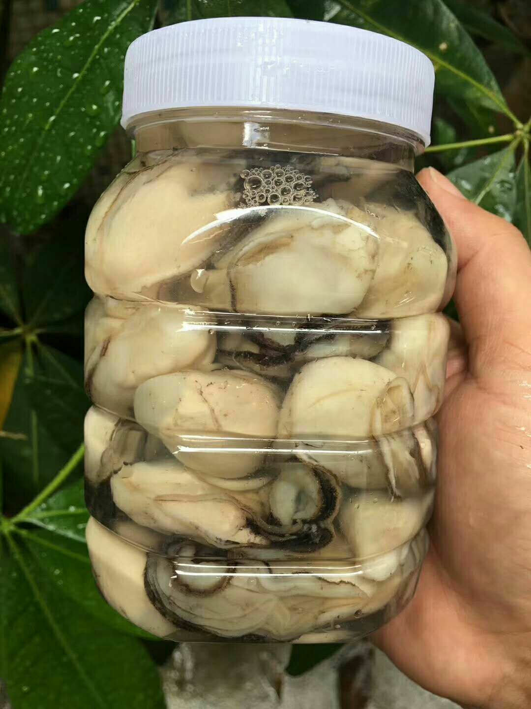  牡蛎肉汫洲生蚝肉，可根据客户需求而定重量。日产量按吨计