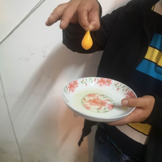成都土鸡蛋 农家土鸡