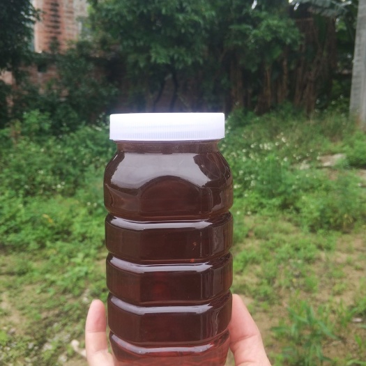 蜂蜜   龙眼蜜   自产自销高浓度龙眼蜜