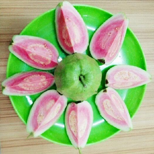 郁南县红宝石芭乐 爽脆