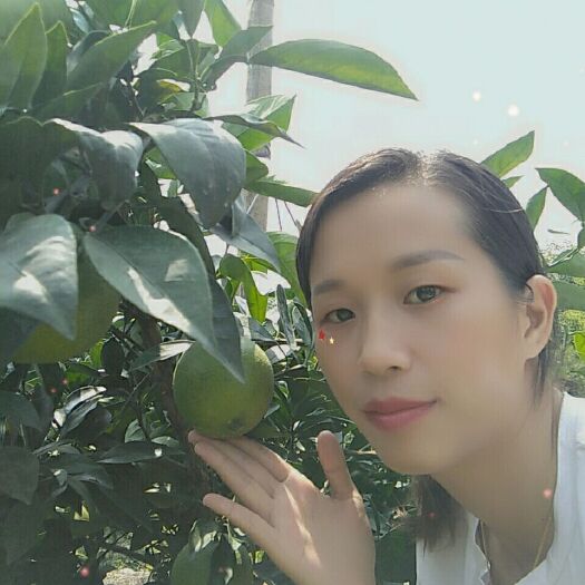 大余县赣南脐橙 4-8两