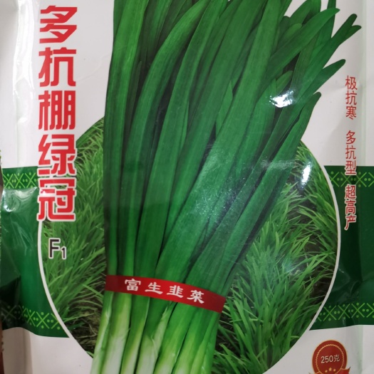 沭阳县 多抗棚绿冠韭菜种子亩产56000斤特抗病抗老化耐高温低温