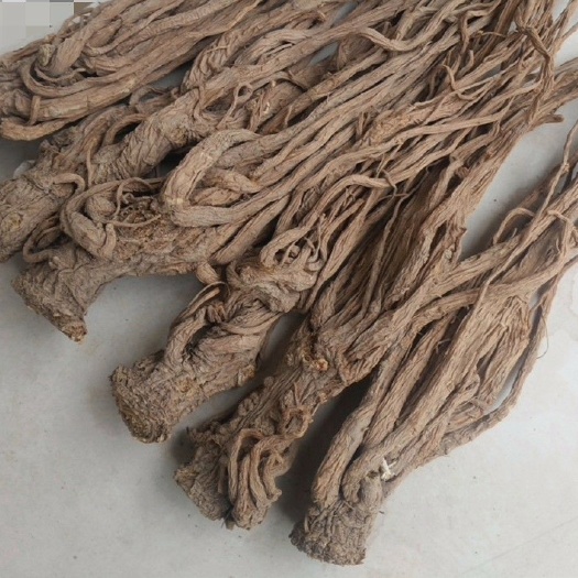   当归  适用于血虚及病后气血不足和各种贫血