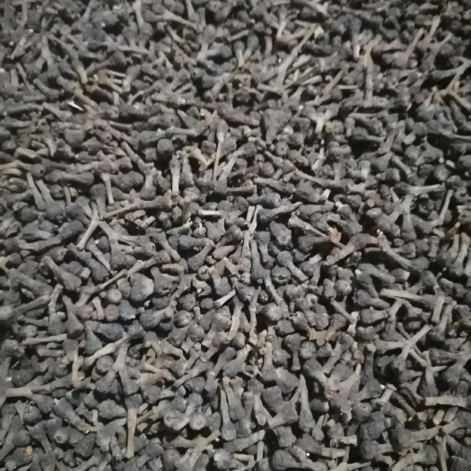 平南县肉桂 一级桂籽（桂花子）包邮（除港澳台新疆西藏等偏远地区）