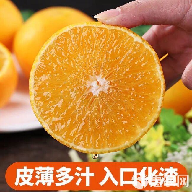 【套袋果】爱媛橙  现摘现发四川爱媛38号柑橘果冻橙