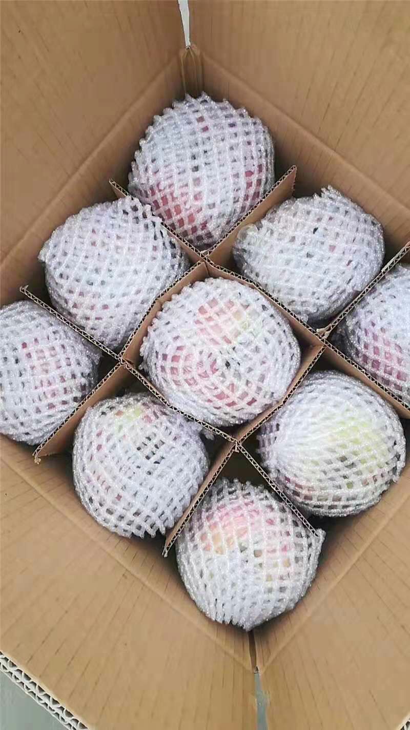  天然绿色苹果