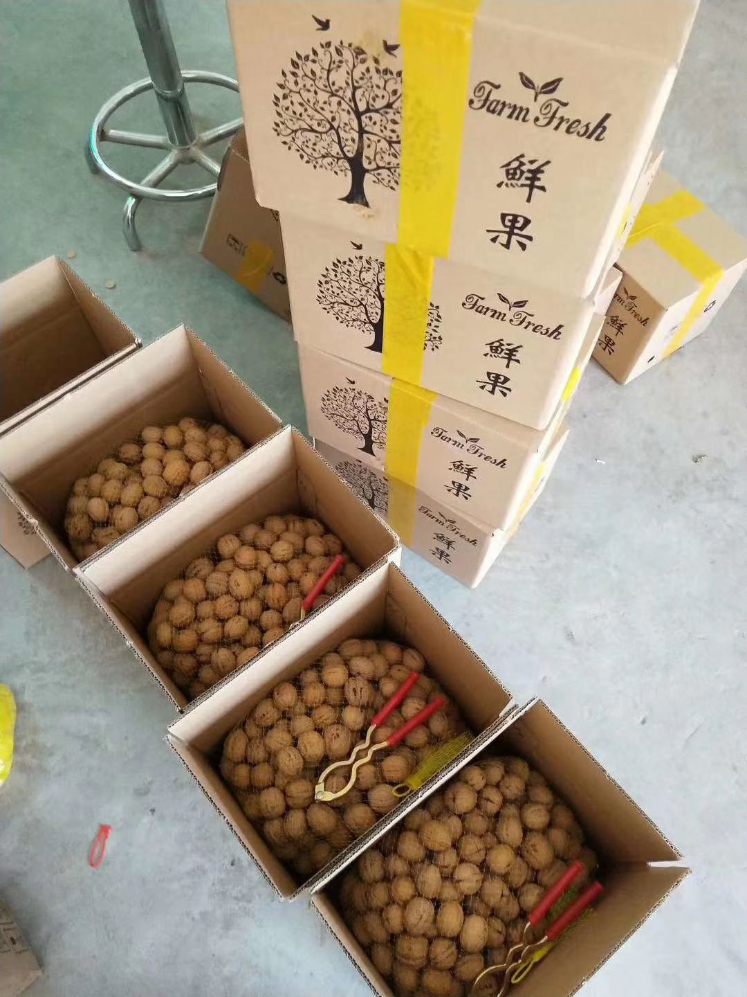西安香玲核桃 陕西省渭南市大荔县 箱装 24个月以上