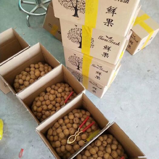 西安香玲核桃 陕西省渭南市大荔县 箱装 24个月以上