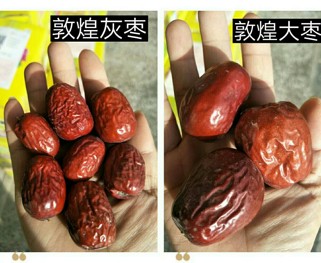 敦煌灰枣  来自大西北