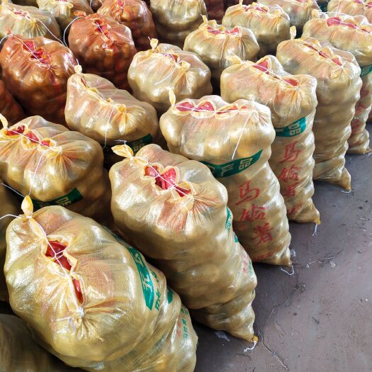 定边县 精品纯沙地克新土豆，形状好，颜色白