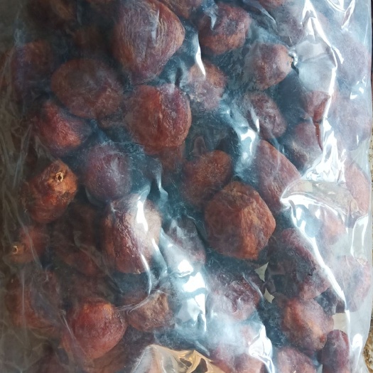 昭苏县 风干杏 在树上不落的杏子 特别好吃 吃了会上瘾 没钱的不要吃
