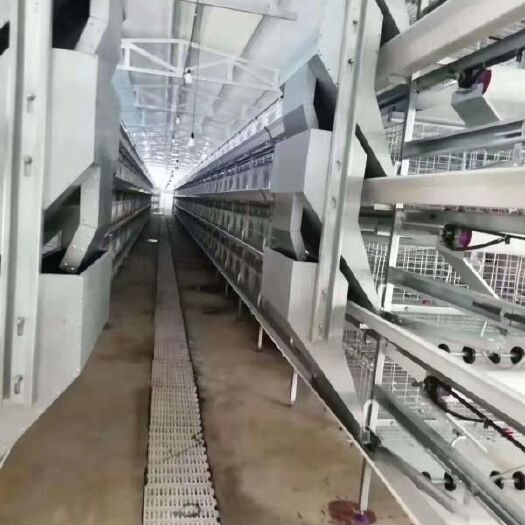 西平县鸡笼