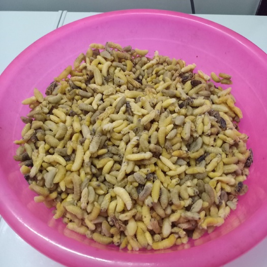建始县 马蜂新鲜货美味可口非常好吃