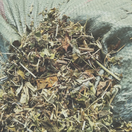 正阳县青干草饲料  羊草、牛羊、兔草、草场直销