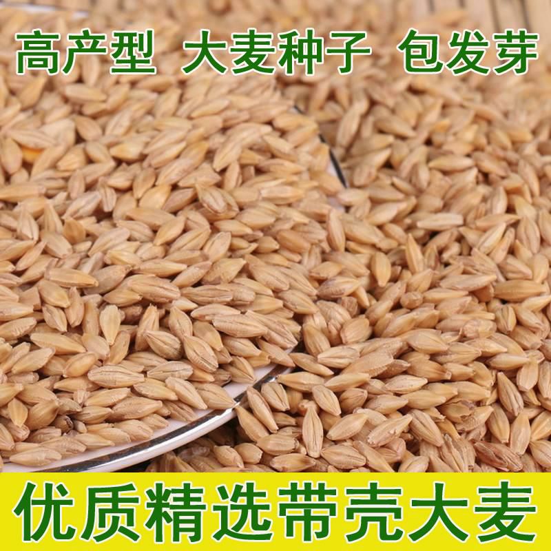  Ӵݴèե֭Ȼлִ