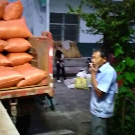 汉中 1级油菜籽   发货量这么大靠的就是