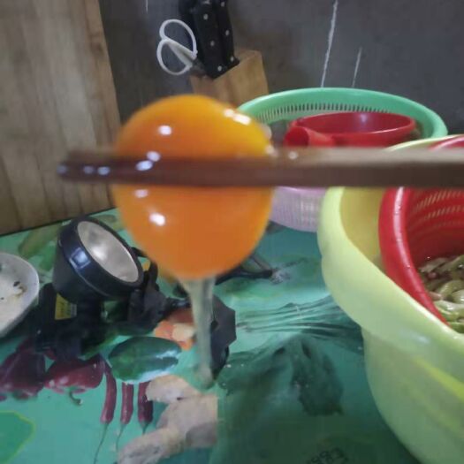 孝昌县 出售农村散养土鸡蛋