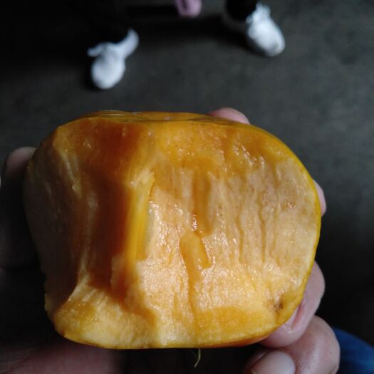 扶风县阳丰甜柿苗