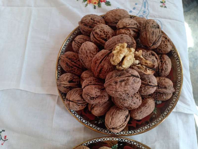  新疆薄皮核桃  185  33新二