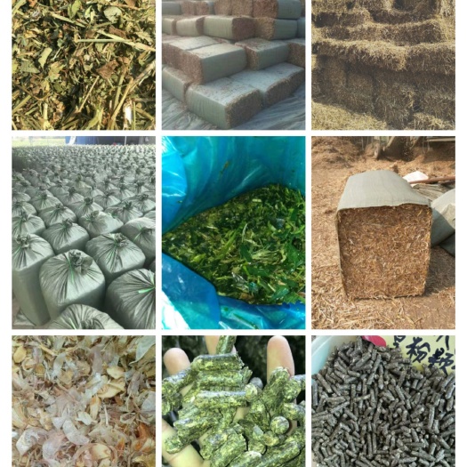 正阳县青干草饲料  羊草，花生秧，小麦秸秆，玉米秸秆，加工厂直销