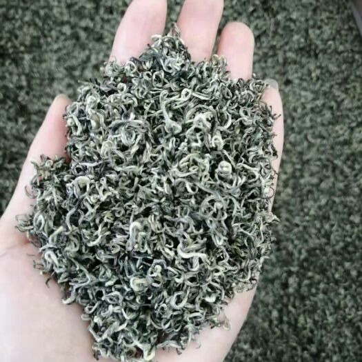 雅安蒙顶甘露 扬子江中水，蒙山顶上茶！