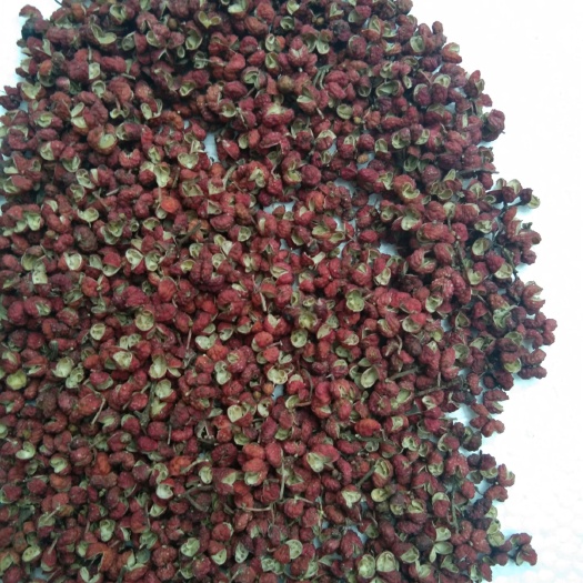  王根文种养殖专业合作社常年为大家提供优质花椒，柿饼，等农产