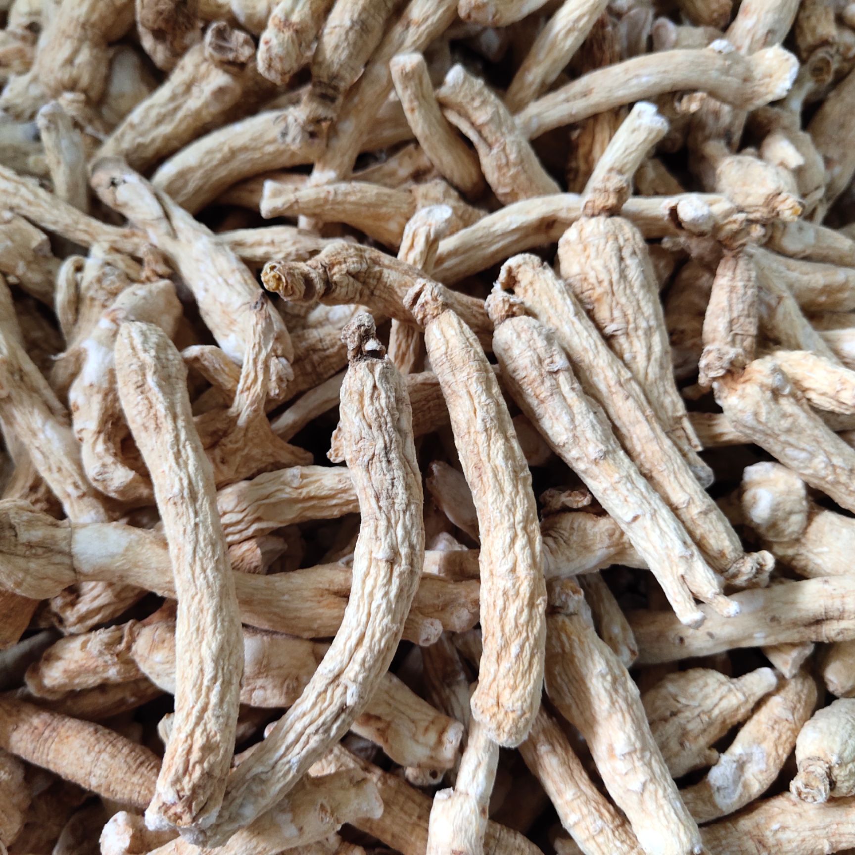 人参  ，生晒参  45支左右，  实拍图品质保证规格齐全