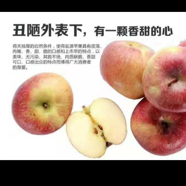 盐源丑苹果冰糖心果园采摘包邮支持产地代办一件代发