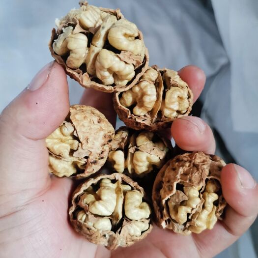 成都产地直销质量保证包退包换云南纸皮核桃大泡核桃麻子核桃薄皮核桃