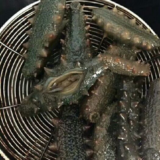长海县大连海参