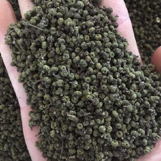 天等县 广西中花吴茱萸