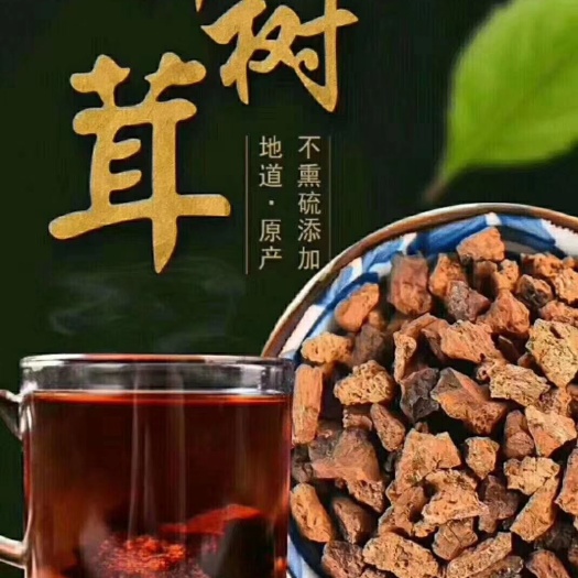 敦化市 桦树茸白桦茸桦褐孔菌正品桦树泪长白山500g1斤非俄罗斯