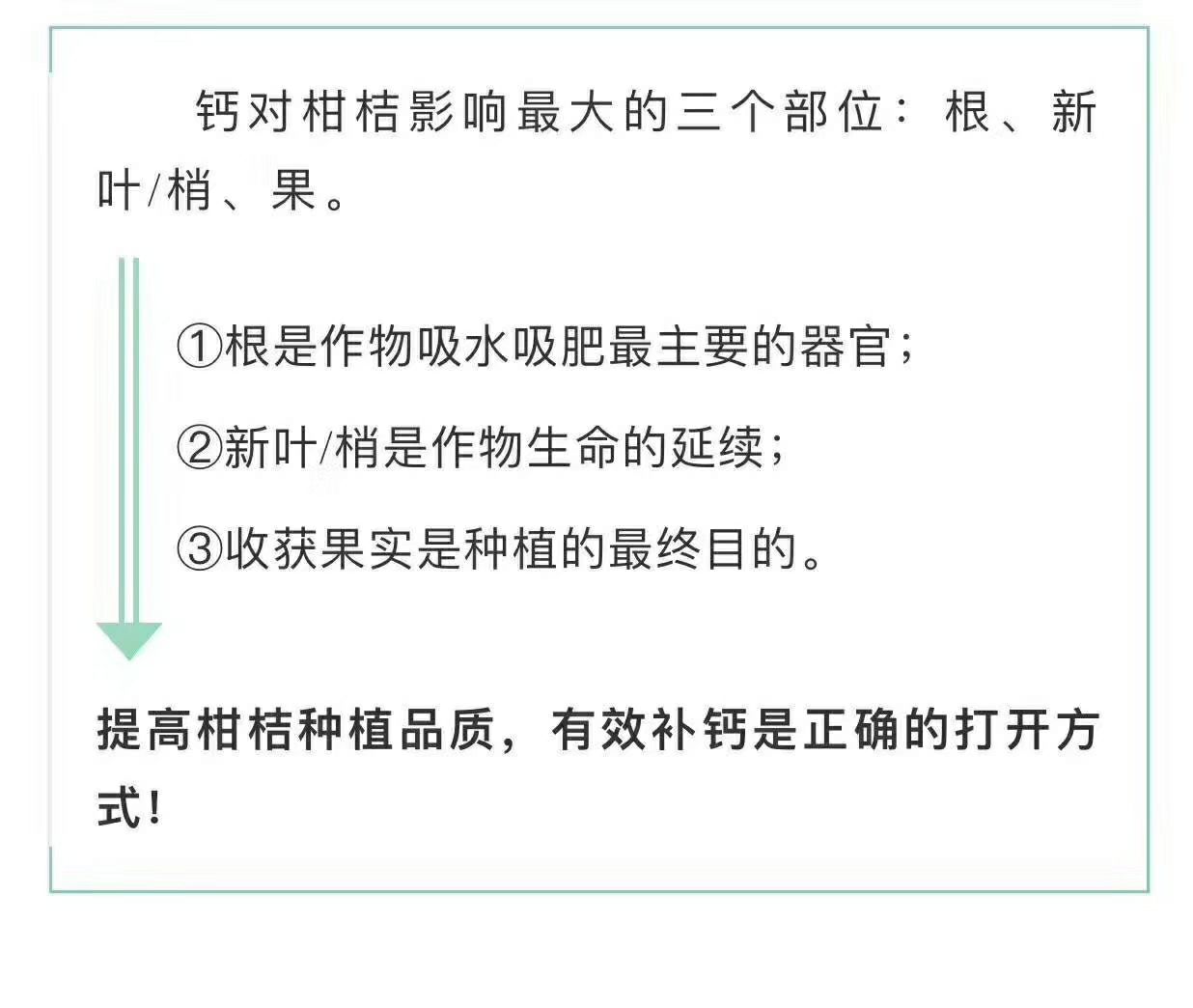 螯合钙肥 叶面肥 钙肥～钙中盖