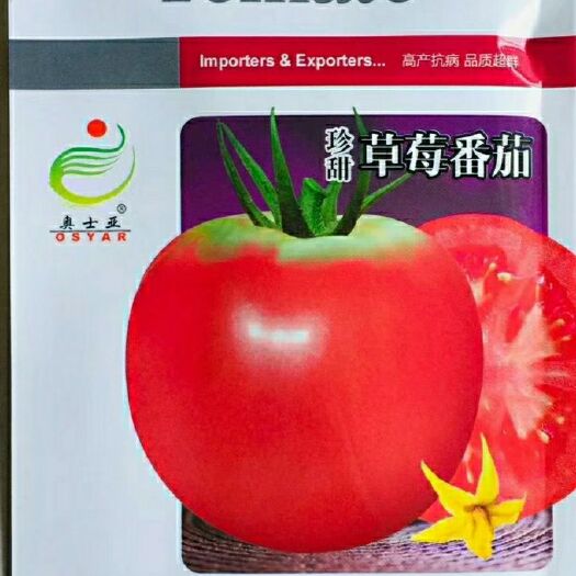 沭阳县珍甜草莓番茄种子 早熟丰产抗病性好无限生长粉红色大果口感酸甜