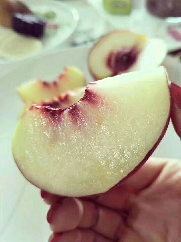  金秋红蜜桃 『小爆款』最甜的桃子 金秋红密桃