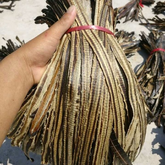 虞城县 蚯蚓干 地龙干