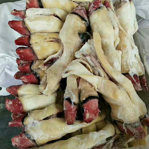 阳信县牛蹄筋 去骨牛蹄