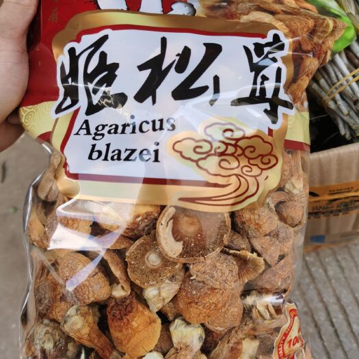 文山市 云南姬松茸大朵菌子野生美味