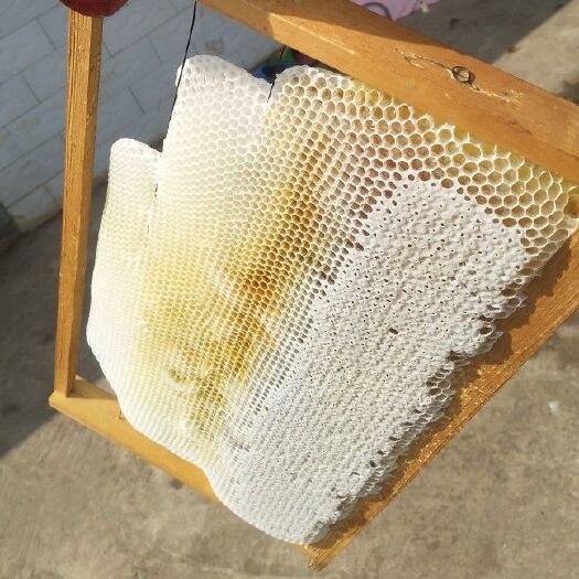 纳雍县土蜂蜜 守得住天然，做得出特产。