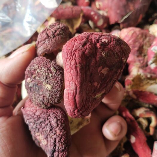 金秀县 正品产地直销蓝底红菇