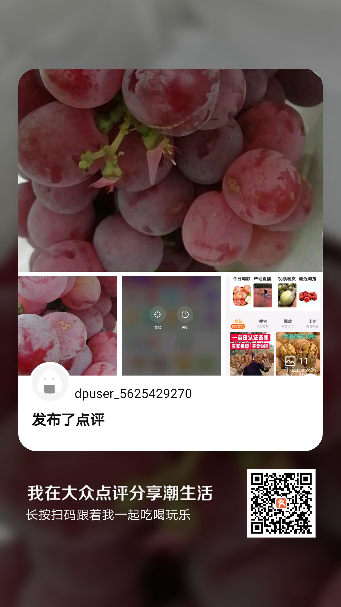  陕西红提葡萄