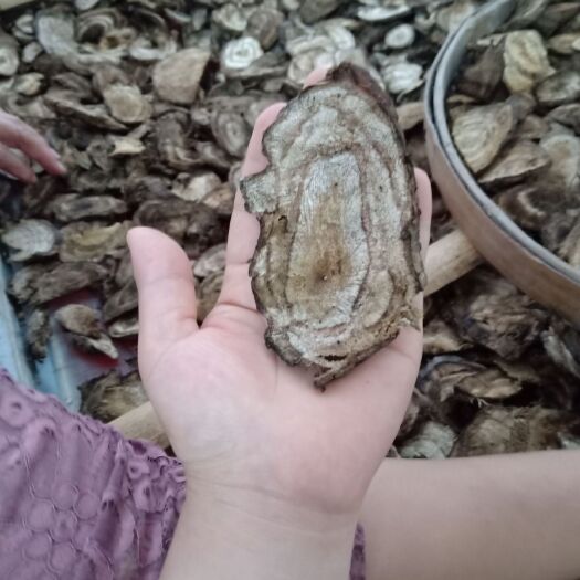 金秀县 广西大瑶山野生葛根