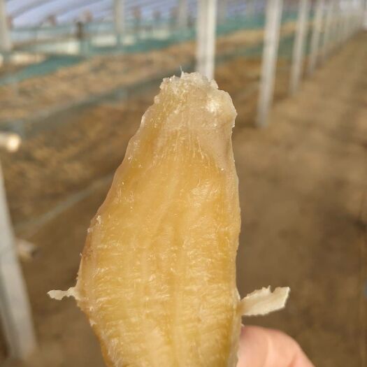 滦州市 玉丰红薯干
